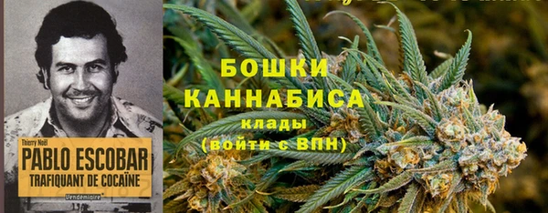 ПСИЛОЦИБИНОВЫЕ ГРИБЫ Богородск