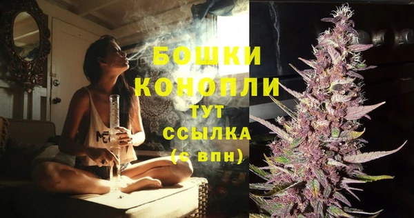 МДПВ Богородицк