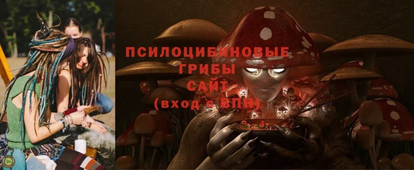 соль ск Богданович