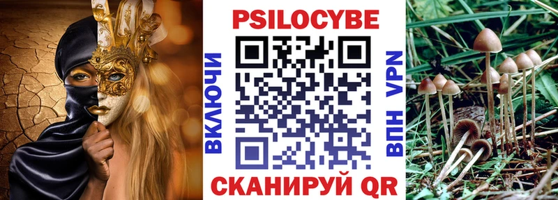 цены   Болохово  Галлюциногенные грибы Psilocybine cubensis 
